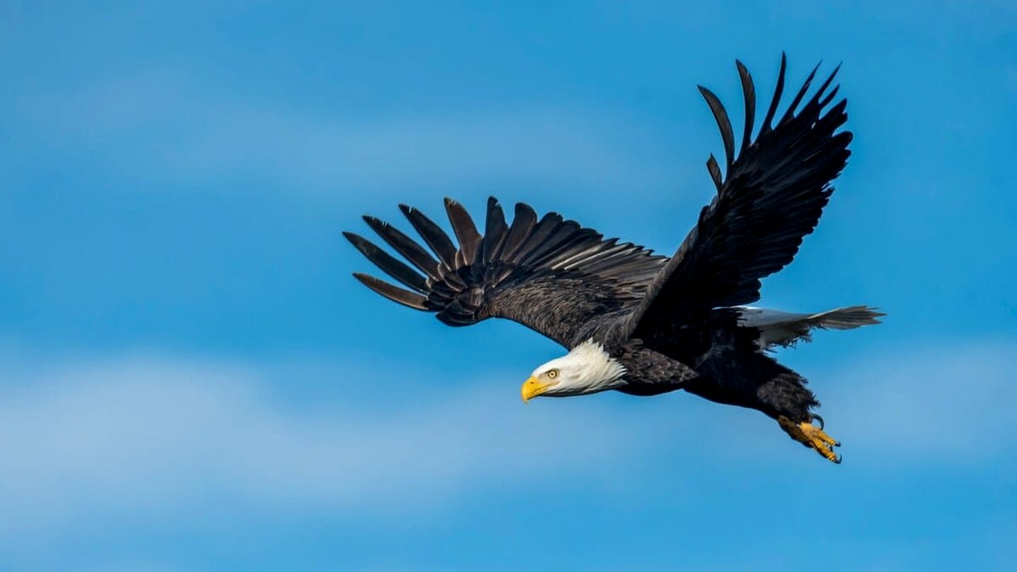 Charming Waterview Cottage with Sunset Views & Private Deck Near Acadia National Park | Ellsworth, Maine