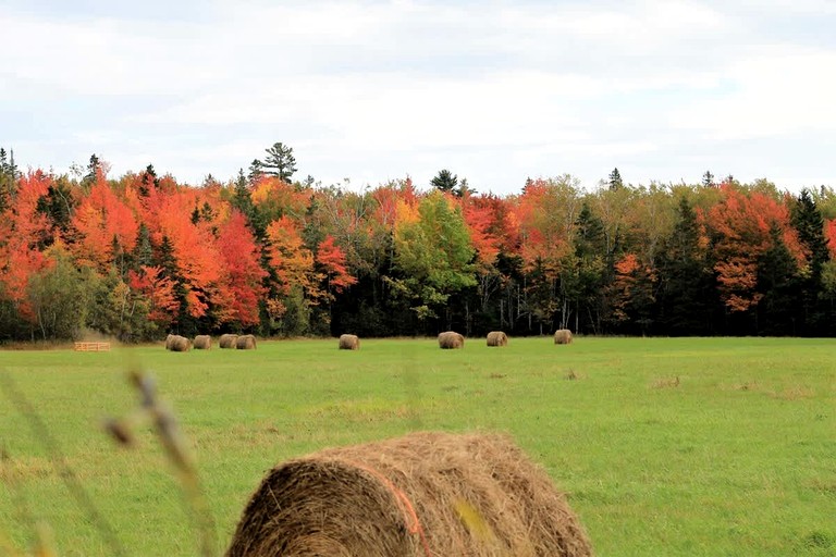 Vacation Rentals (United States of America, Ellsworth, Maine)