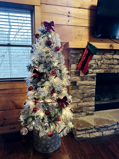 Cabins (United States of America, Sevierville, Tennessee)