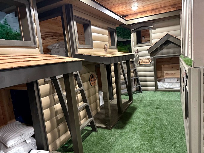 Cabins (United States of America, Pigeon Forge, Tennessee)