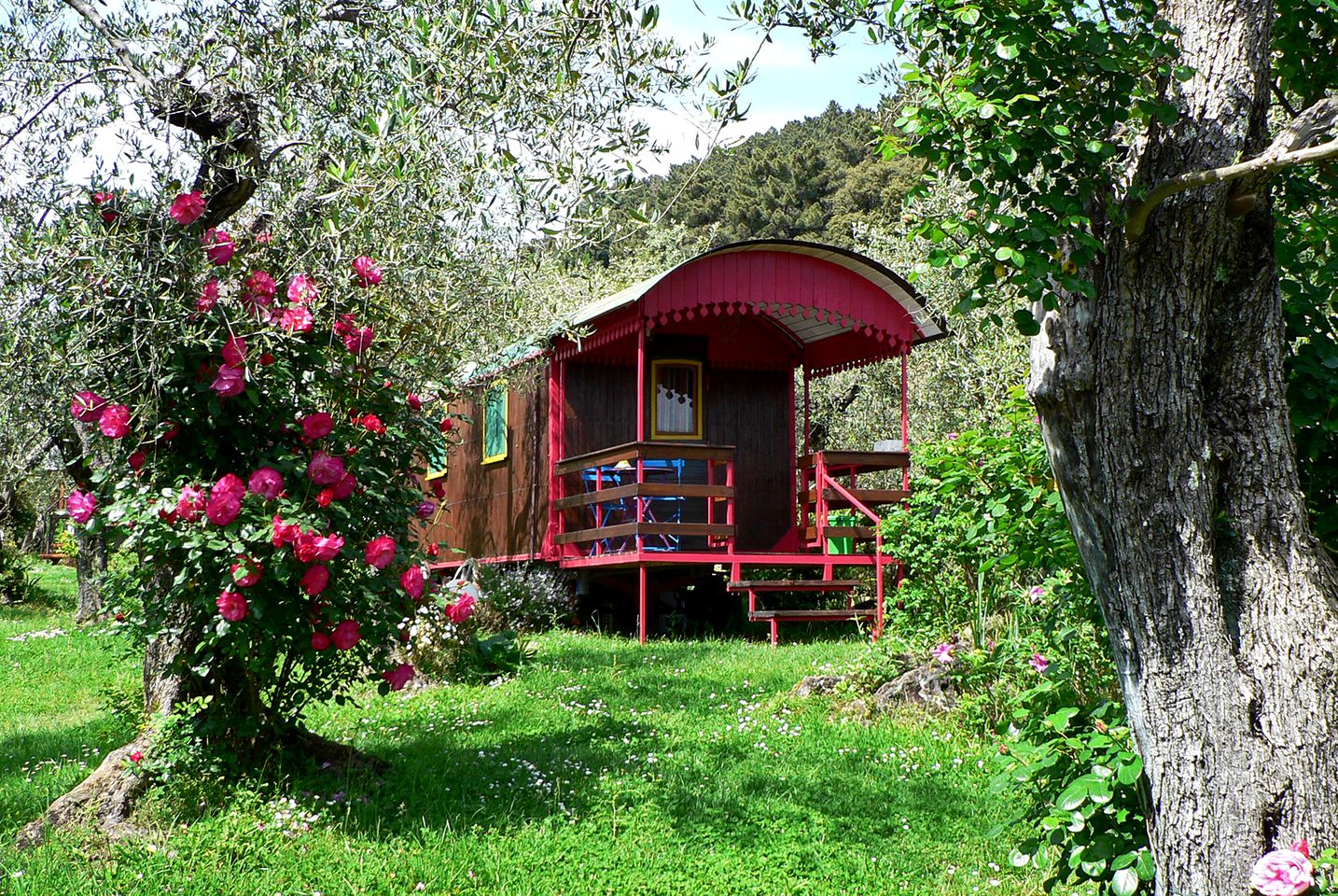 Caravans (Stiava, Tuscany, Italy)