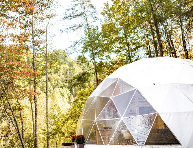 Secluded dome buried in the beauty of nature