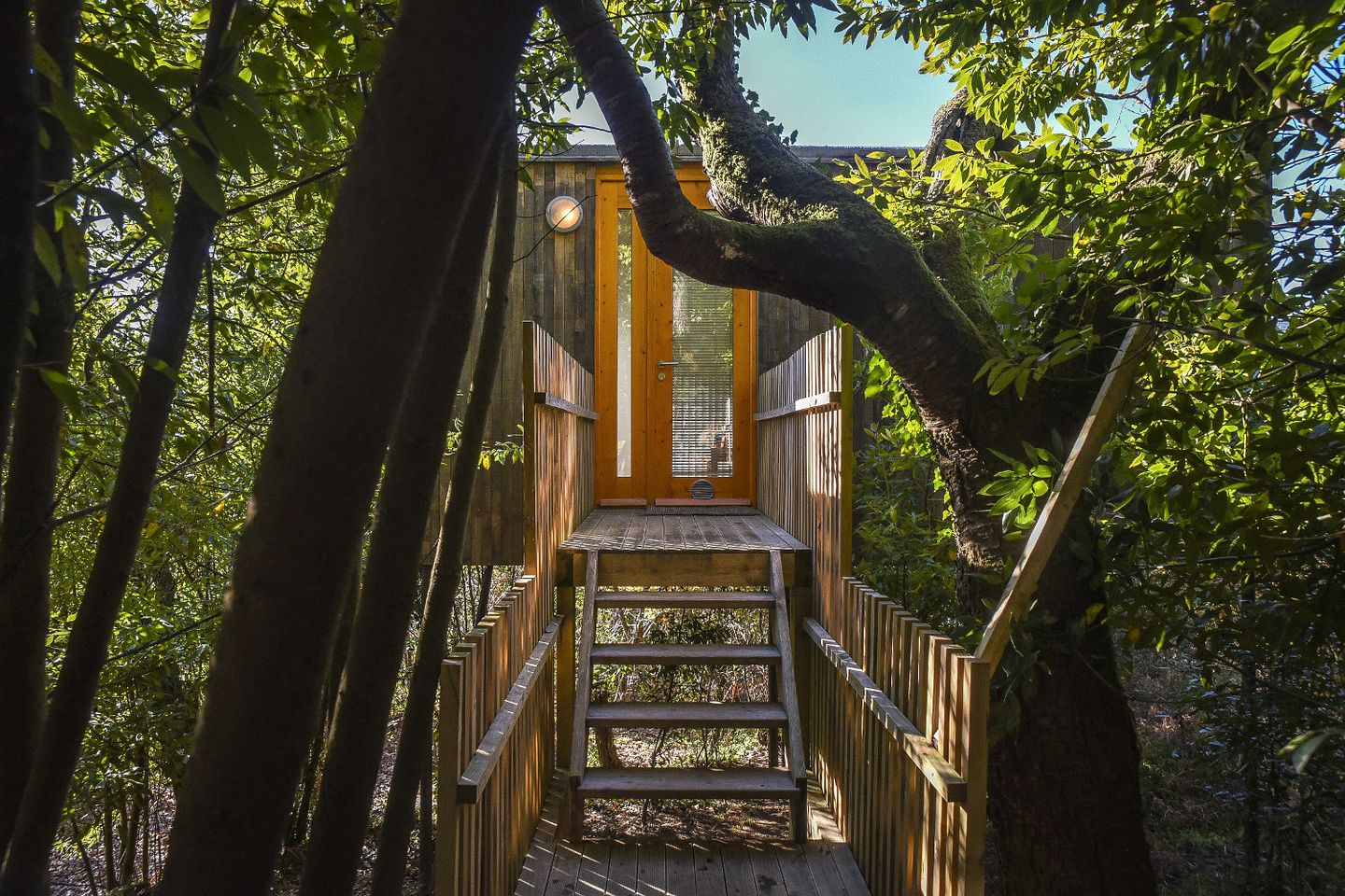 Eco-Friendly Stay at Gorgeous Tree House in Province of La Coruña in Galicia, Spain