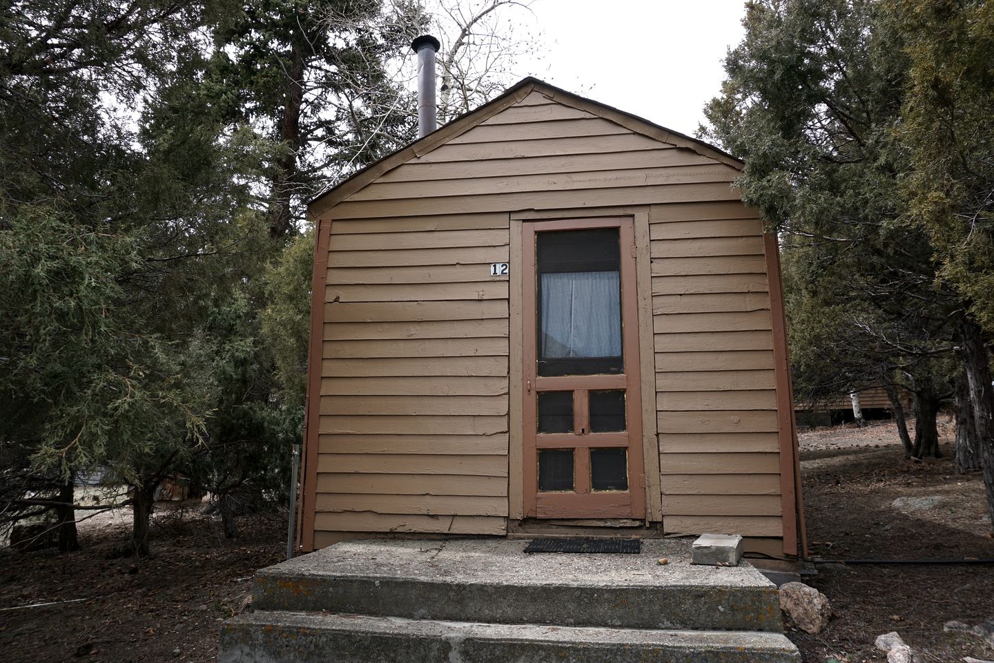 Remote and Cozy Mountain Cabin Nestled in Poudre Canyon, Perfect for a Pet Friendly Glamping Retreat