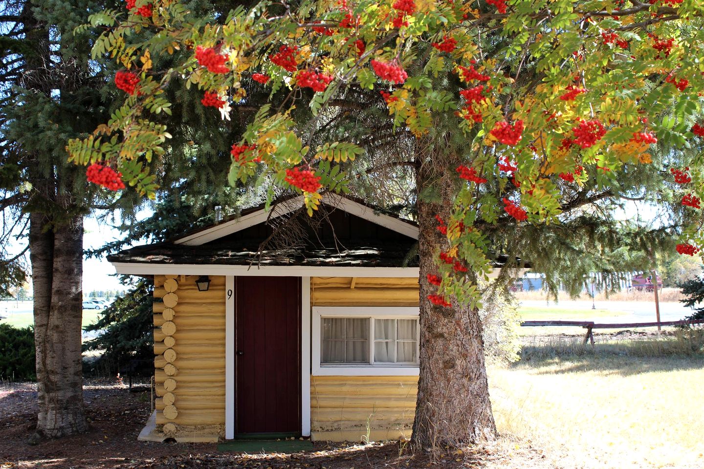 Quaint Log Cabin for Two near Henry's Fork for an Unforgettable Getaway in Ashton, Idaho