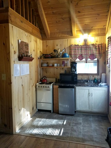 Cabins (United States of America, Lakemont, Georgia)