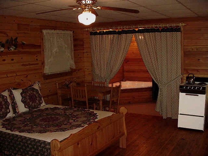 Dog-Friendly Cottage with Jacuzzi Tub Nestled in the Woods near Helen, Georgia | Cottages (Hiawassee, Georgia, United States of America)