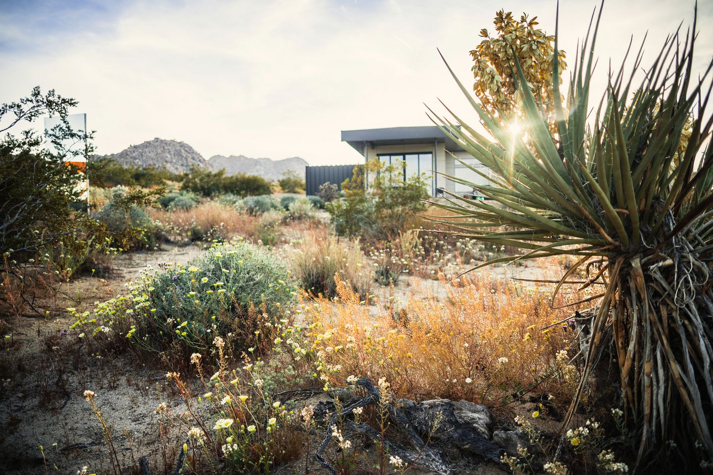 Secluded Modern Style Vacation Rental with Hot-tub in Joshua Tree, California