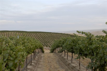 Nature Lodges (Touchet, Washington, United States)