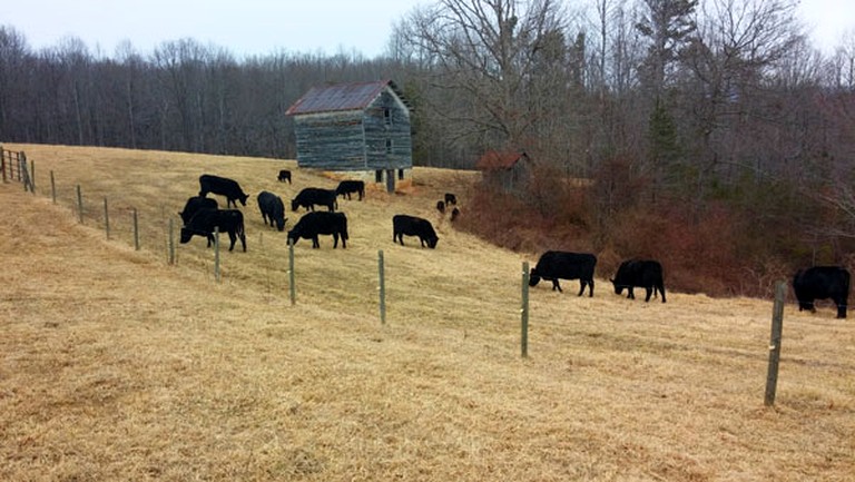 Caravans (United States of America, Ararat, Virginia)