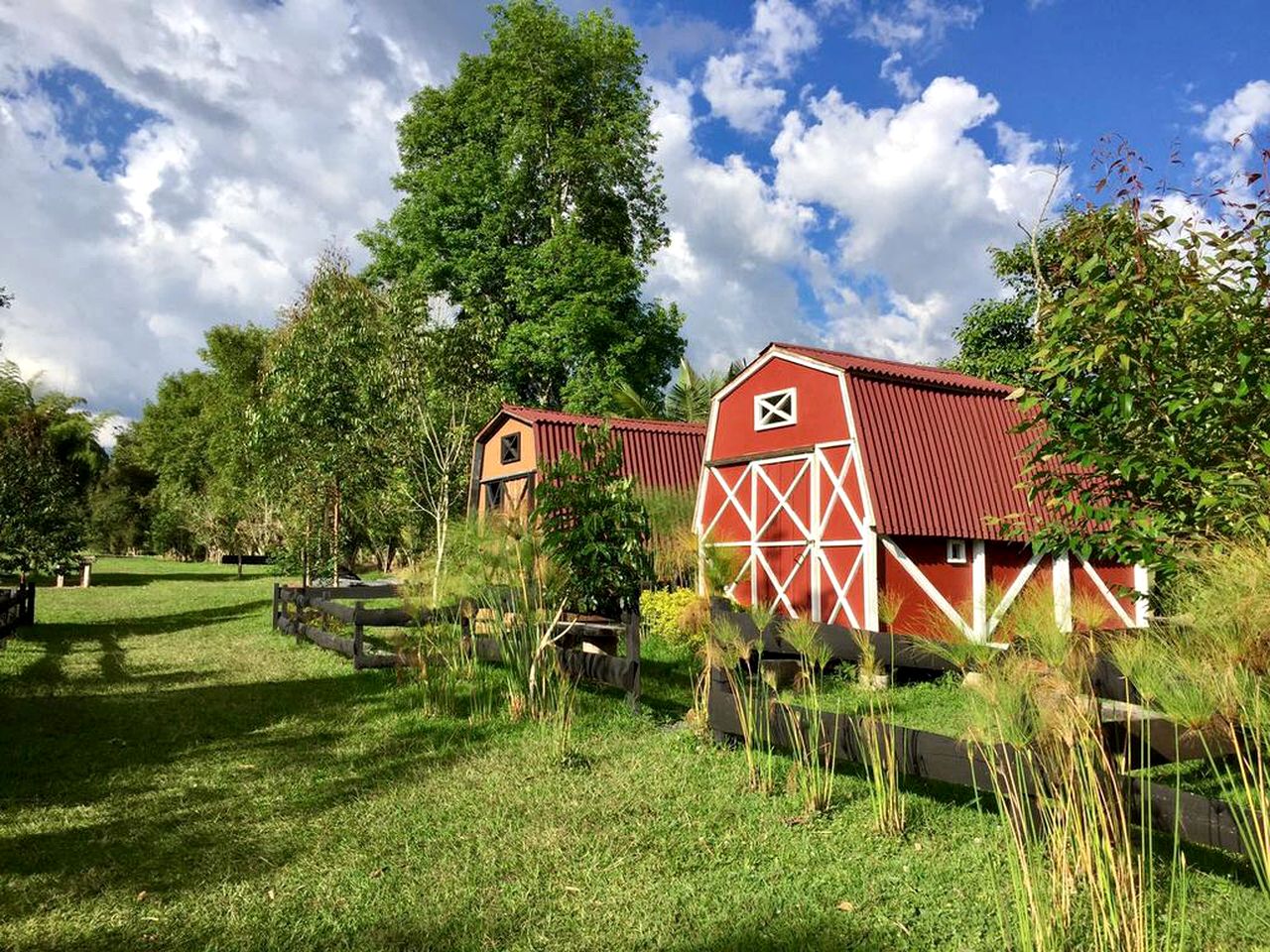 Barns (Salento, Quindío, Colombia)