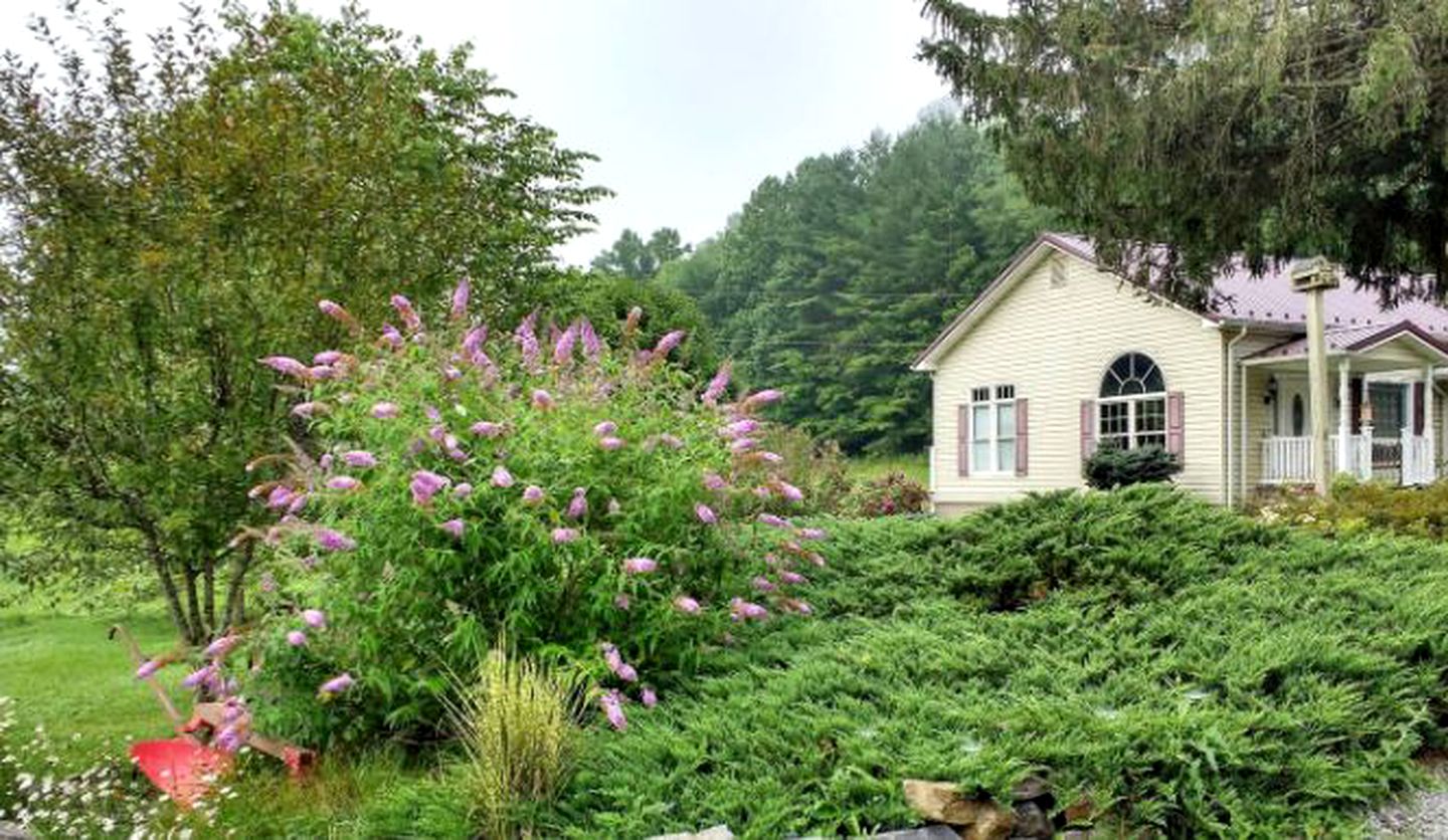 Nature Lodges (Lewisburg, West Virginia, United States)