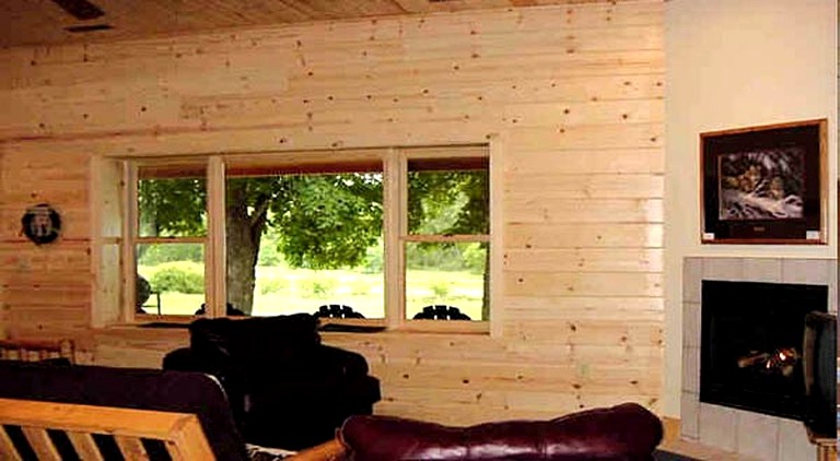 Cabins (Whalan, Minnesota, United States)