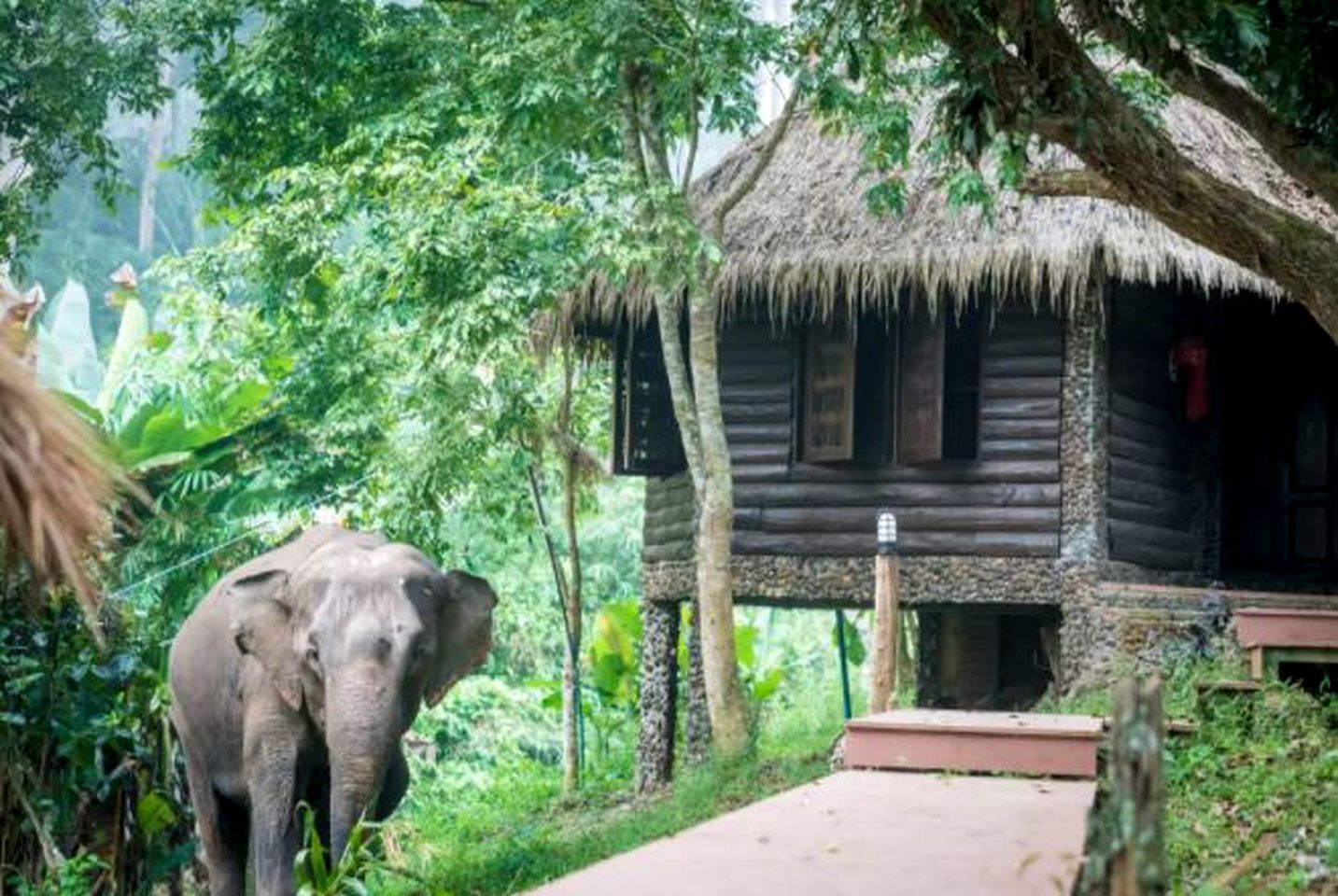 Huts (Chiang Mai, Northern Thailand, Thailand)