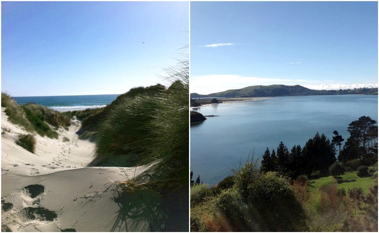 Beach Houses (Dunedin, South Island, New Zealand)