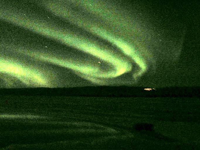 Nature Lodges (North Pole, Alaska, United States)