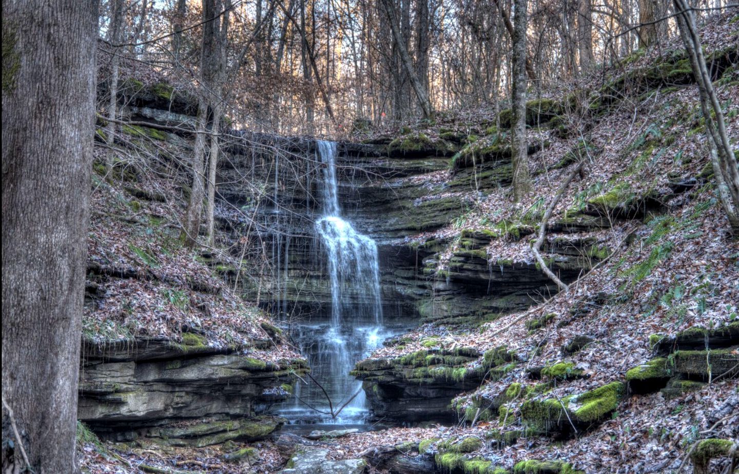 Vacation Rentals (Florence, Alabama, United States)