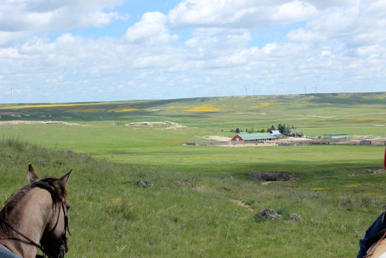 Nature Lodges (New Raymer, Colorado, United States)