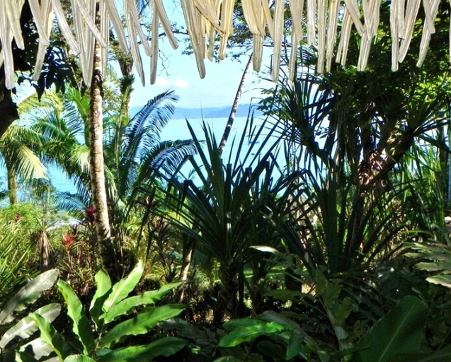 Cabins (Osa Peninsula, Puntarenas, Costa Rica)