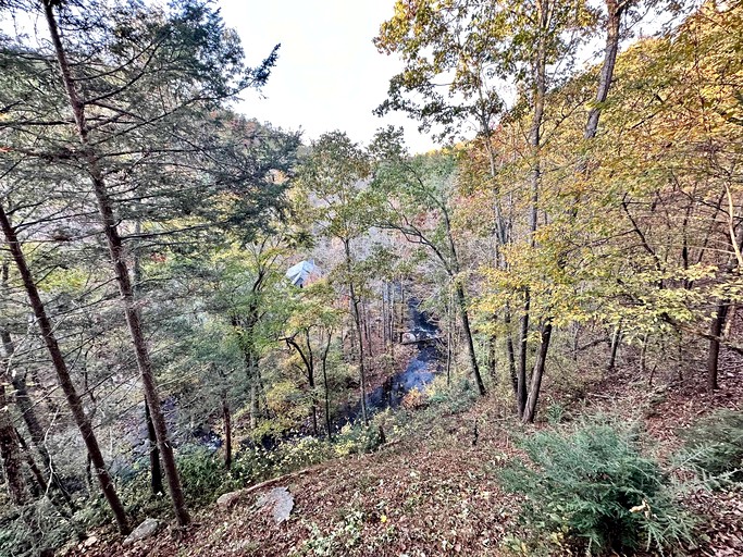 Cabins (United States of America, Sevierville, Tennessee)