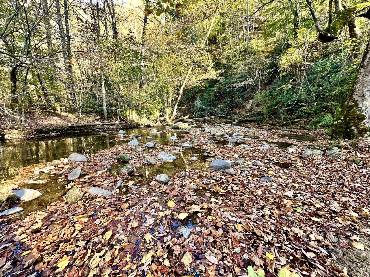 Embrace Nature in this Cosy Cabin with Hot-tub and Fireplace in  Sevierville, Tennessee