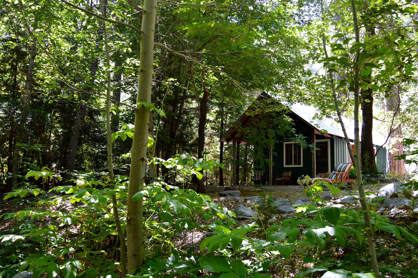 Trinity Alps lodging: cozy cabin rental (Trinity Center, California, United States)