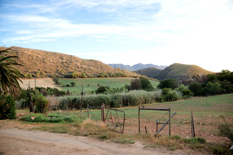 Cottages (Buffelsdrif, Western Cape, South Africa)