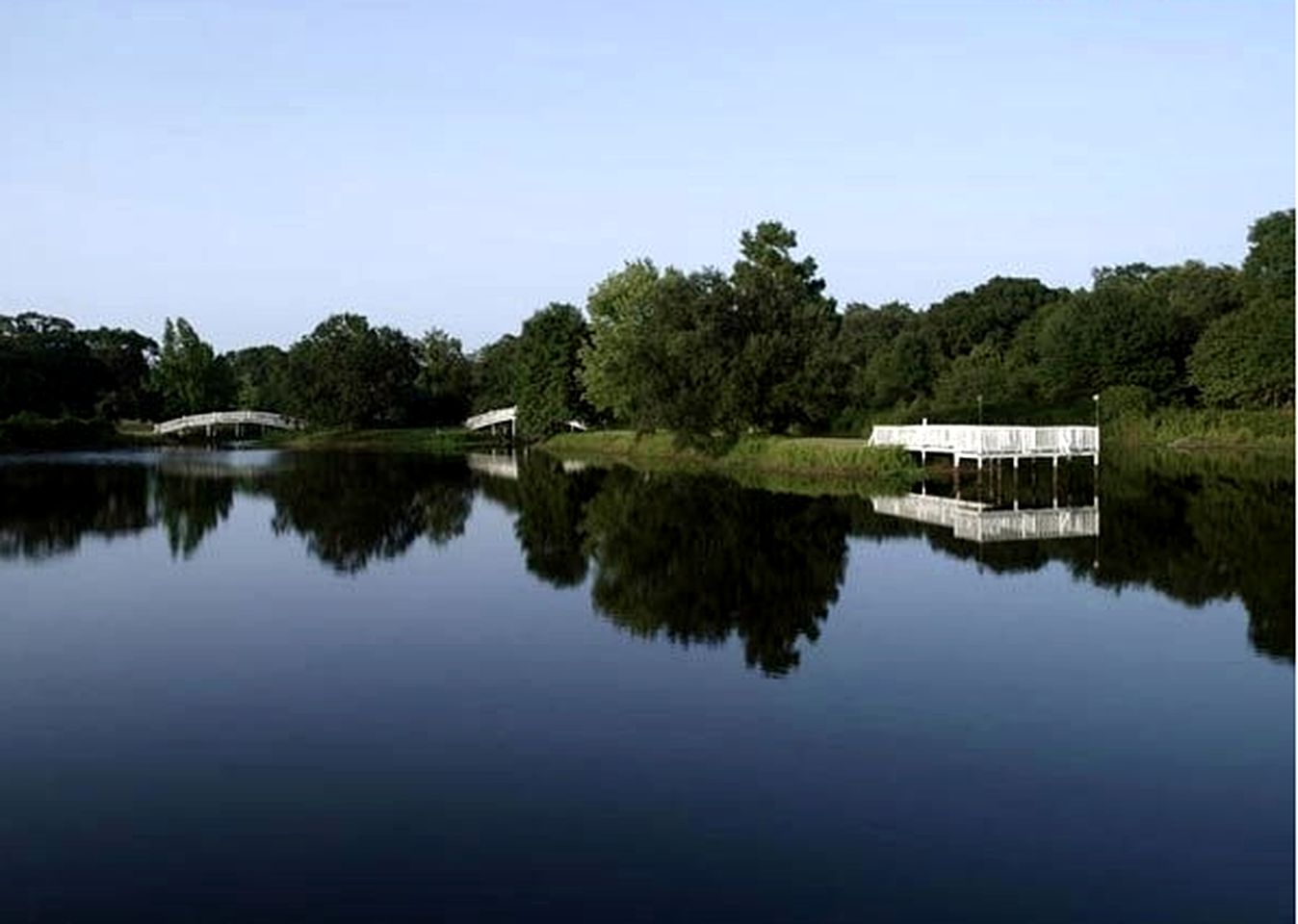 Cozy Luxury Suites with Private Pool on Working Ranch and B&B near Houston, Texas