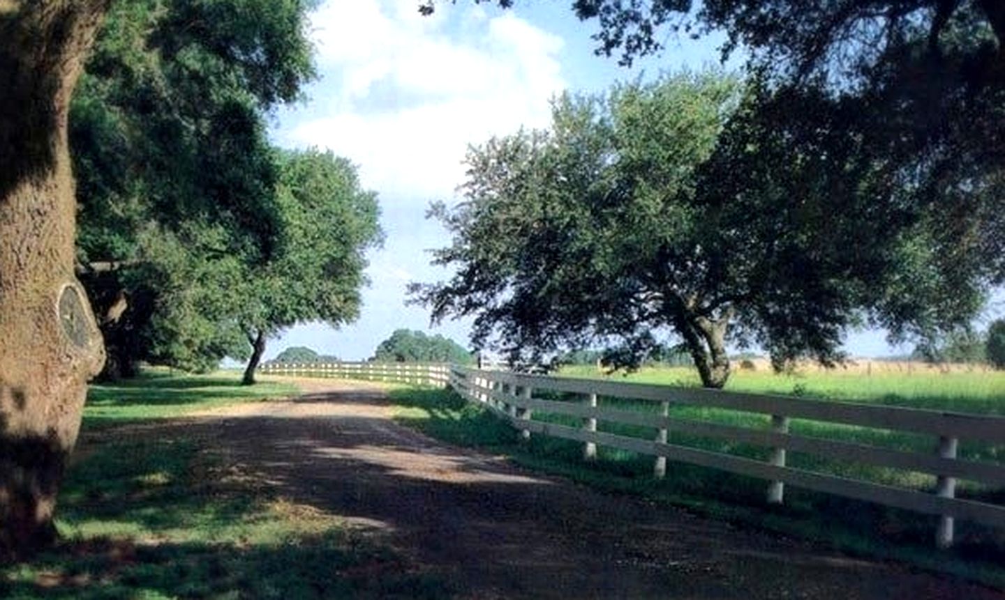 Cozy Luxury Suites with Private Pool on Working Ranch and B&B near Houston, Texas