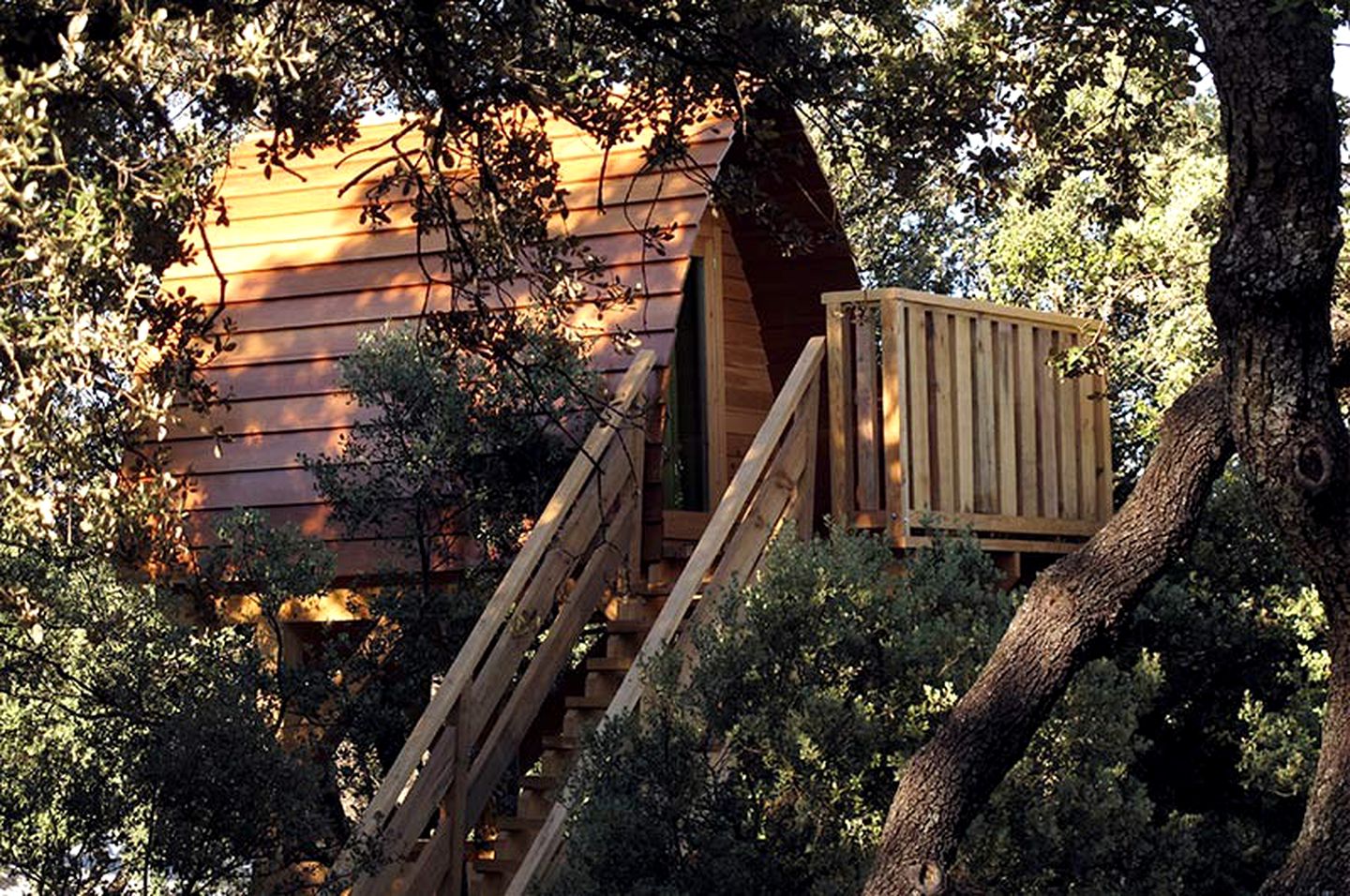 Tree Houses (Madrid, Madrid, Spain)