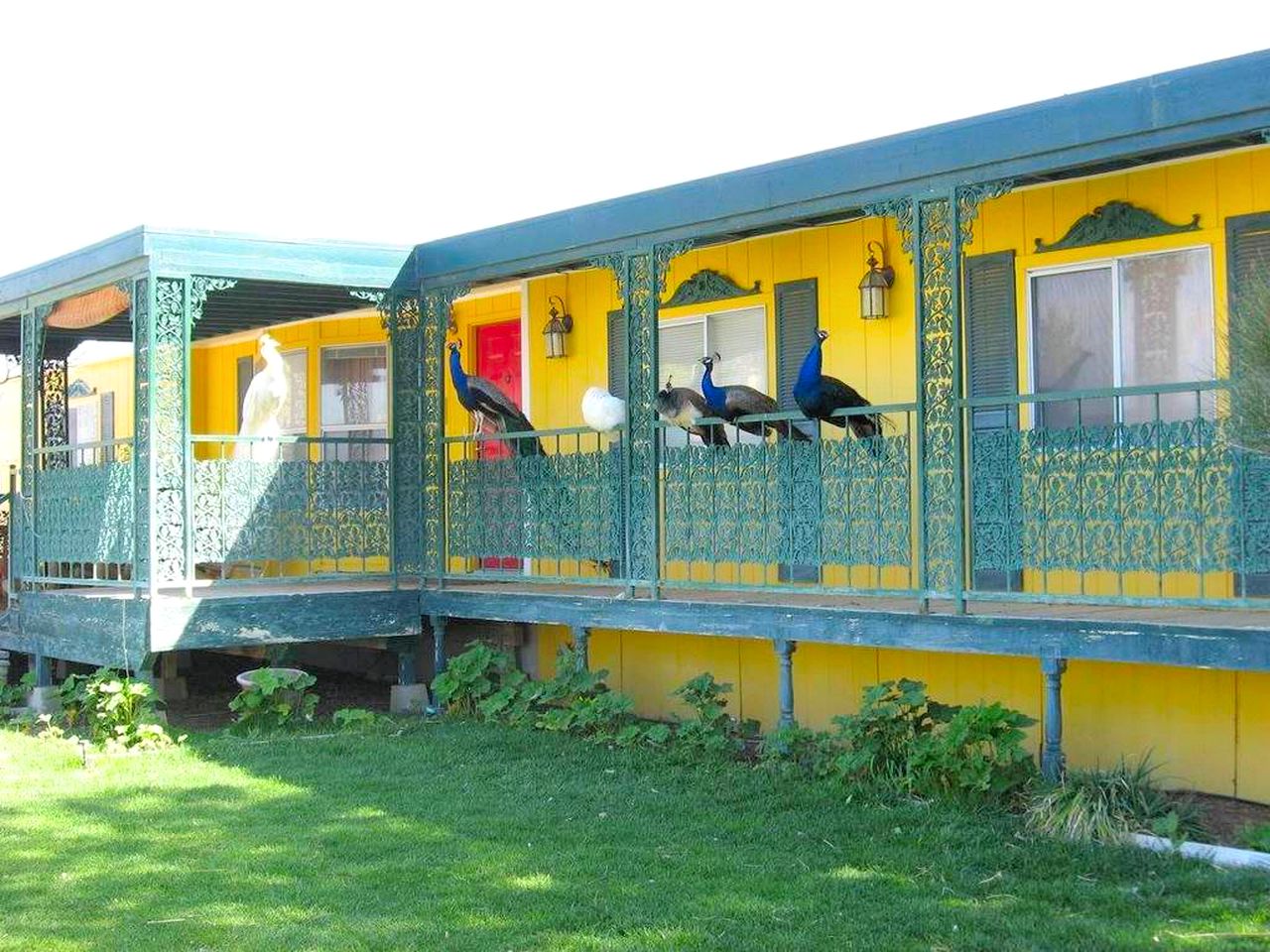 Nature Lodges (Beatty, Nevada, United States)