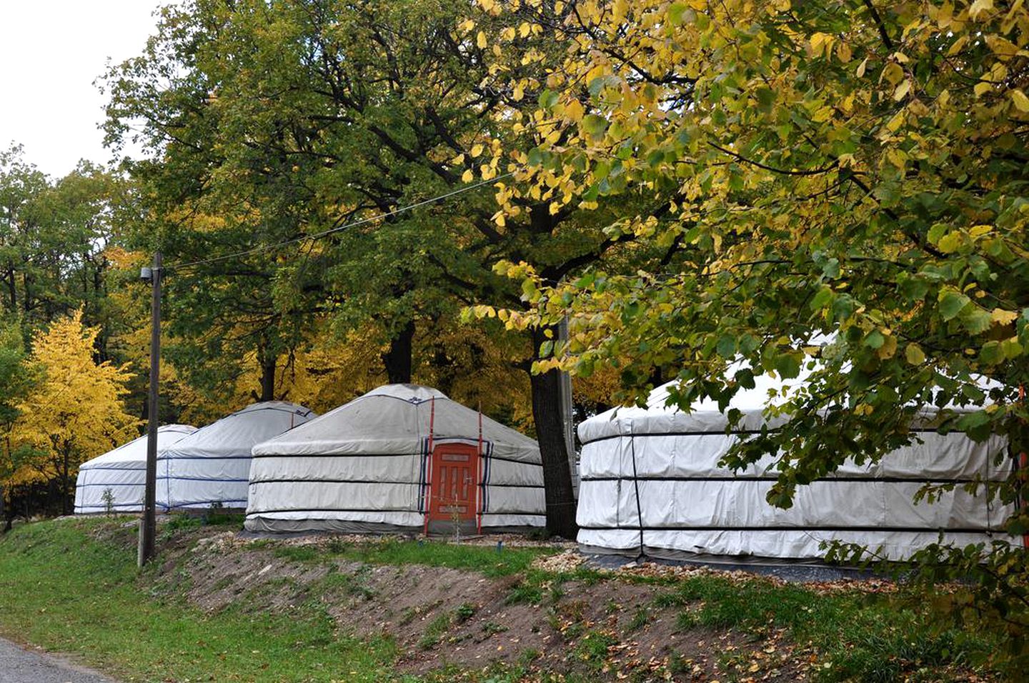 Yurts (Dobogókő, Central Hungary, Hungary)
