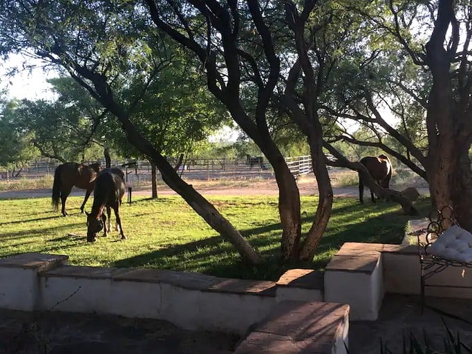 Peaceful Bed and Breakfast Suite near Madera Canyon in Amado, Arizona | Nature Lodges (Amado, Arizona, United States of America)