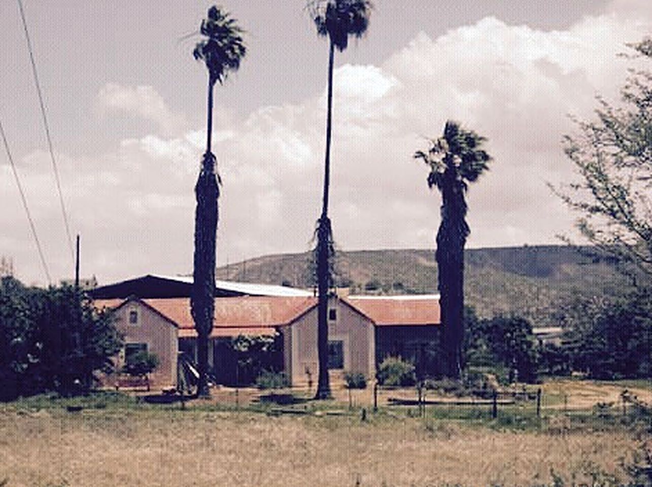 Cottages (Buffelsdrif, Western Cape, South Africa)