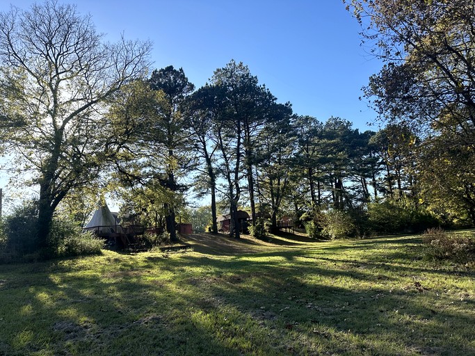 Cabins (United States of America, Murfreesboro, Arkansas)