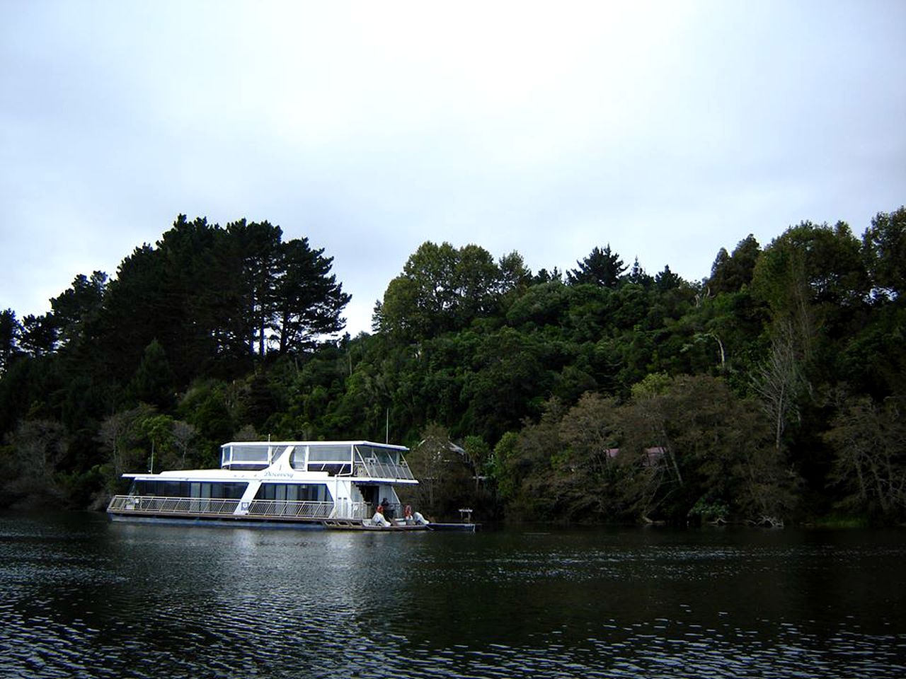 Boats & Floating Homes (Tuakau, North Island, New Zealand)