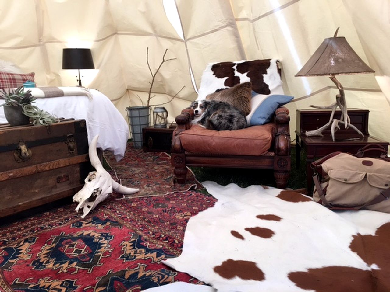 Tipis (Gardiner, Montana, United States)