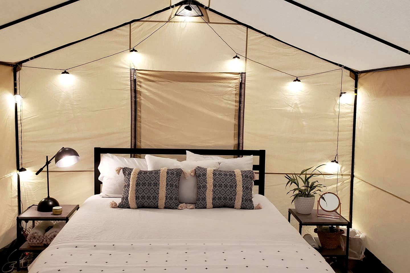 Safari Tents (Leeds, Utah, United States)