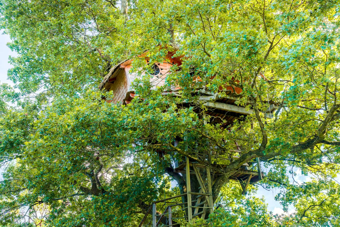Tree Houses (Bonnal, Bourgogne-Franche-Comté, France)