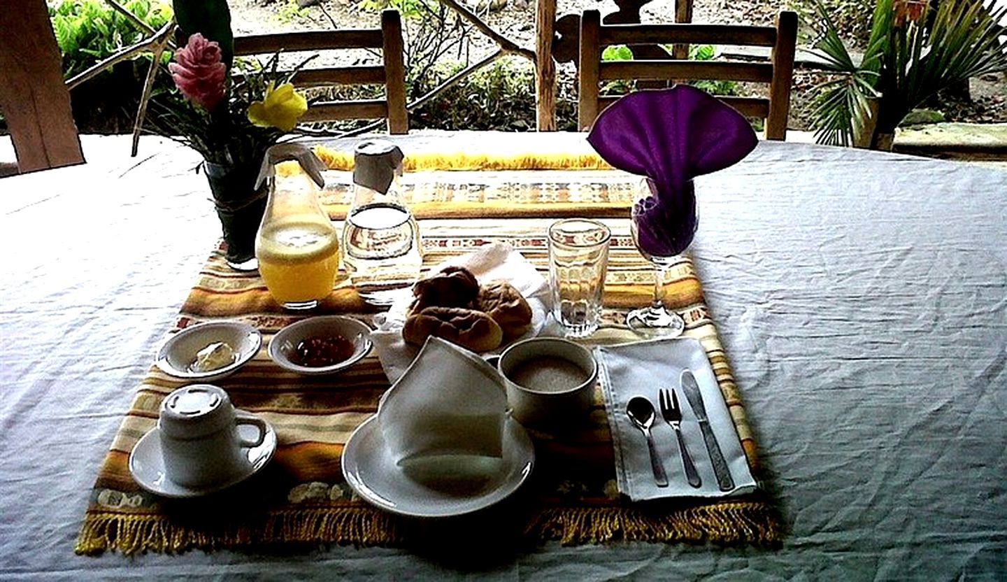 Eco-Lodge with Rooms for Rent Hidden Away in Ecuador's Amazon Rainforest
