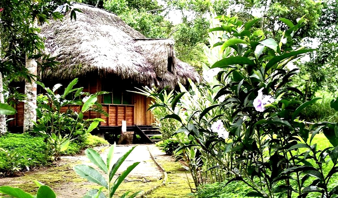 Eco-Lodge with Rooms for Rent Hidden Away in Ecuador's Amazon Rainforest