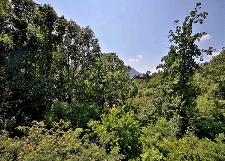 Log Cabins (Sevierville, Tennessee, United States)