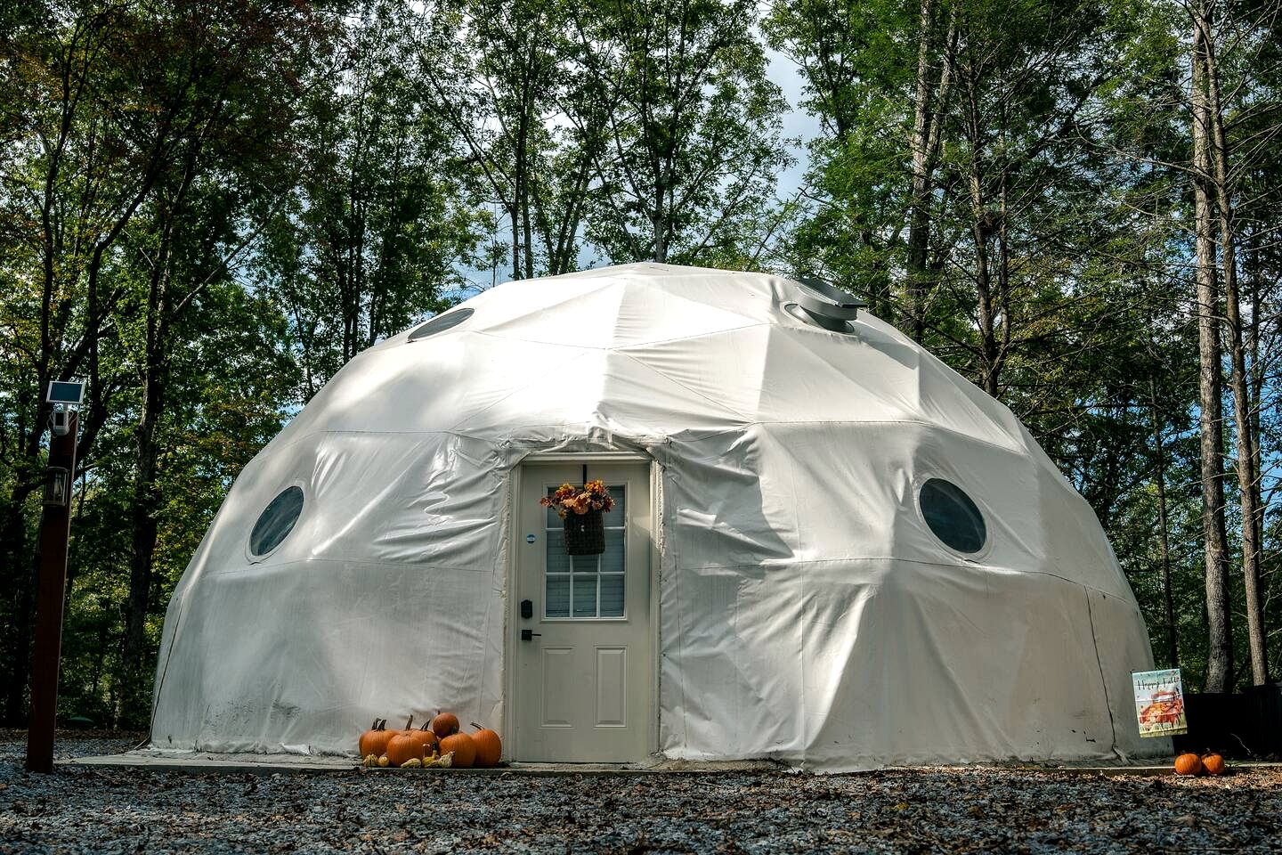 Experience Nature in this Incredible Dome Nestled Amidst Trees in Ellijay, Georgia