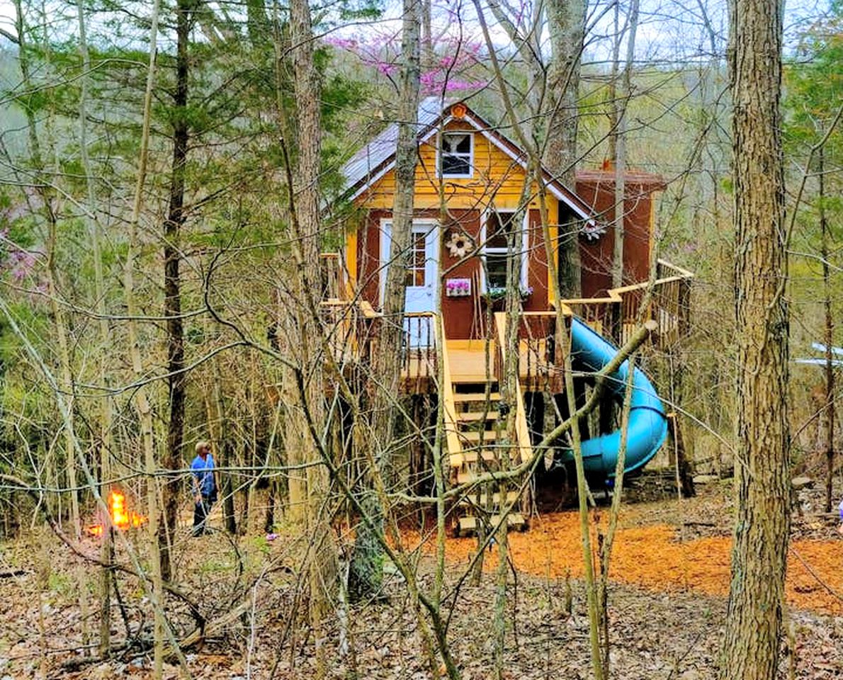 Tree Houses (Germantown, Kentucky, United States)