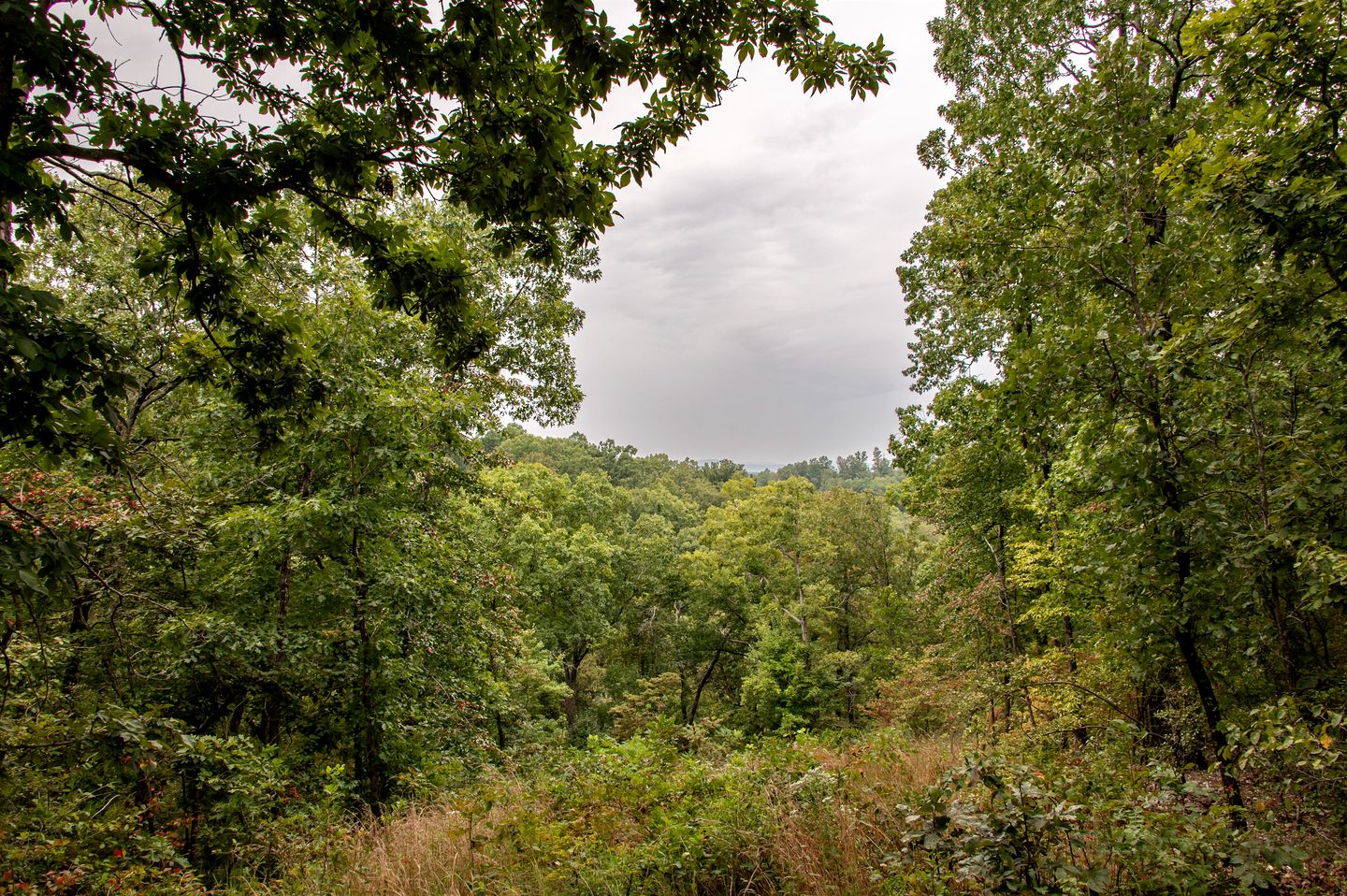 Escape to Marshall, Arkansas, in this Cozy Cabin for Four
