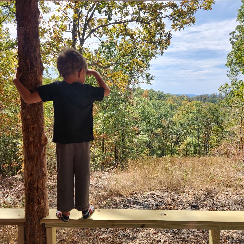 Escape to Marshall, Arkansas, in this Cozy Cabin for Four