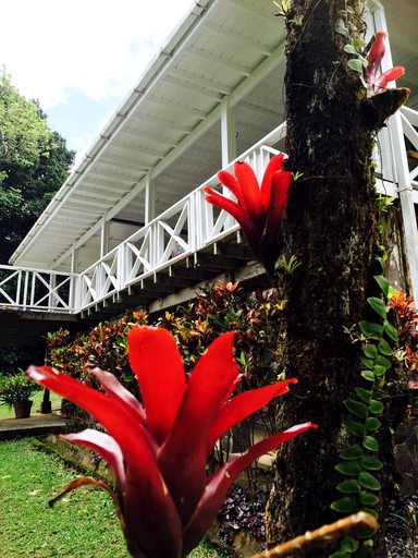 Vacation Rentals (Roseau, Saint George, Dominica)