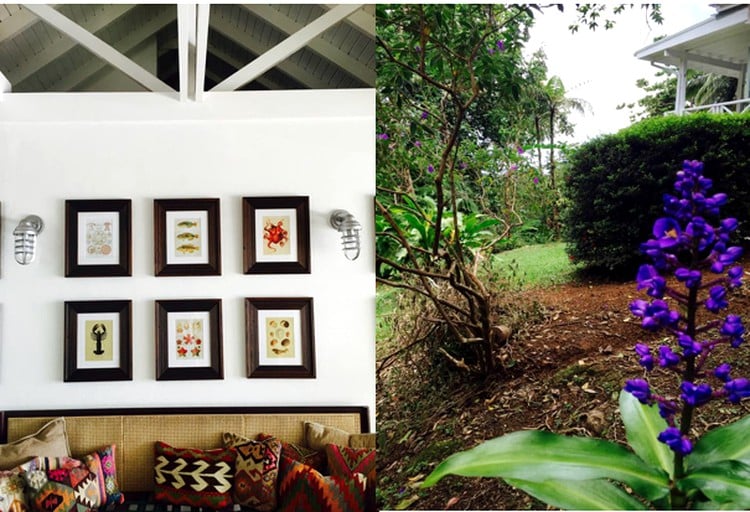 Vacation Rentals (Roseau, Saint George, Dominica)
