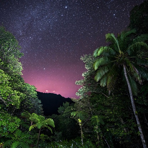 Starry-night sky in the Layou Valley of Dominica.