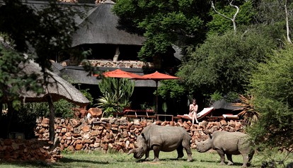 Nature Lodges (Vaalwater, Limpopo, South Africa)